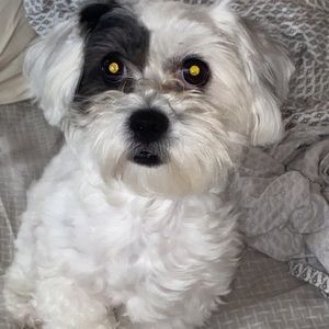 Meet your Posher, Erika